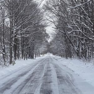 Meet your Posher, Ron